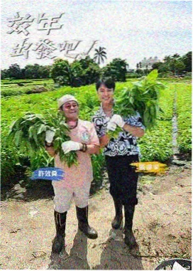 小镇食验室综艺封面